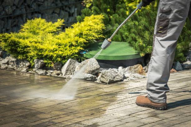 Best Gutter Cleaning  in Mendota, CA