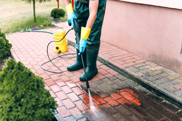 Best Driveway Pressure Washing  in Mendota, CA