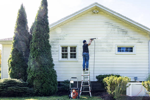 Best Roof Washing  in Mendota, CA
